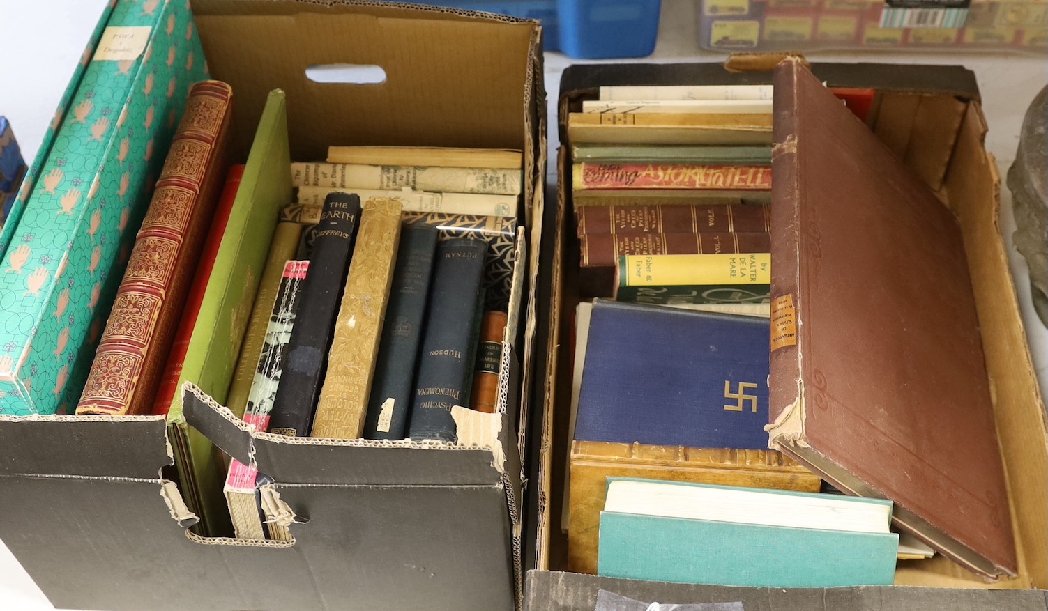 Two boxes of mixed books.